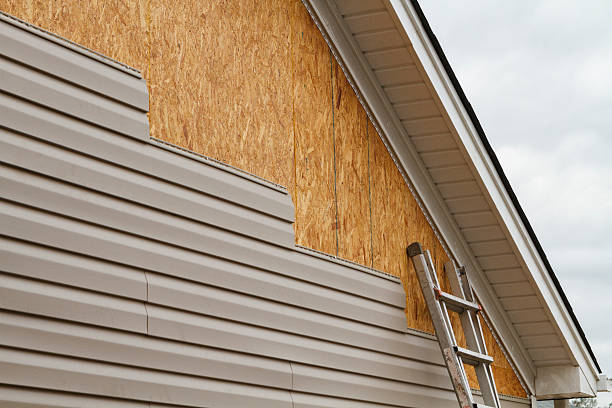 24/7 Emergency Vinyl Siding experts in Forest Lake, MN